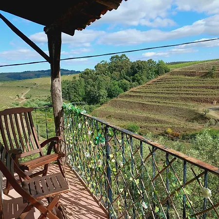 Quinta Olgas