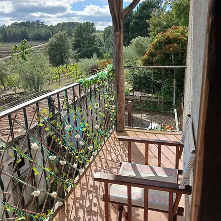 Feriehus Quinta Olgas Favaios